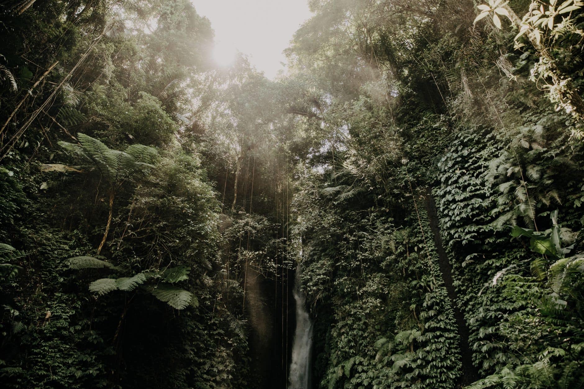 Ayung River rafting in Bali