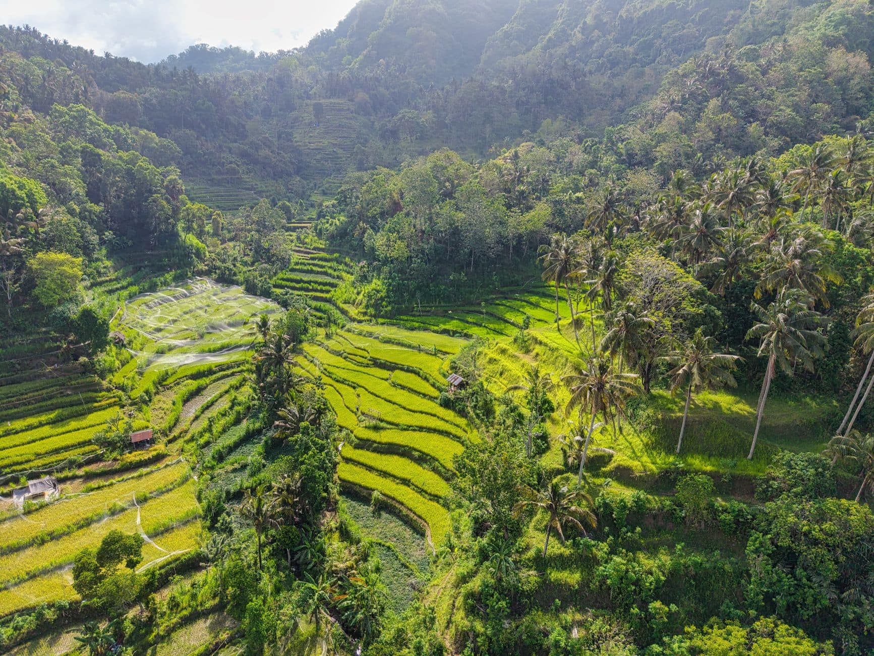 November and December in Bali