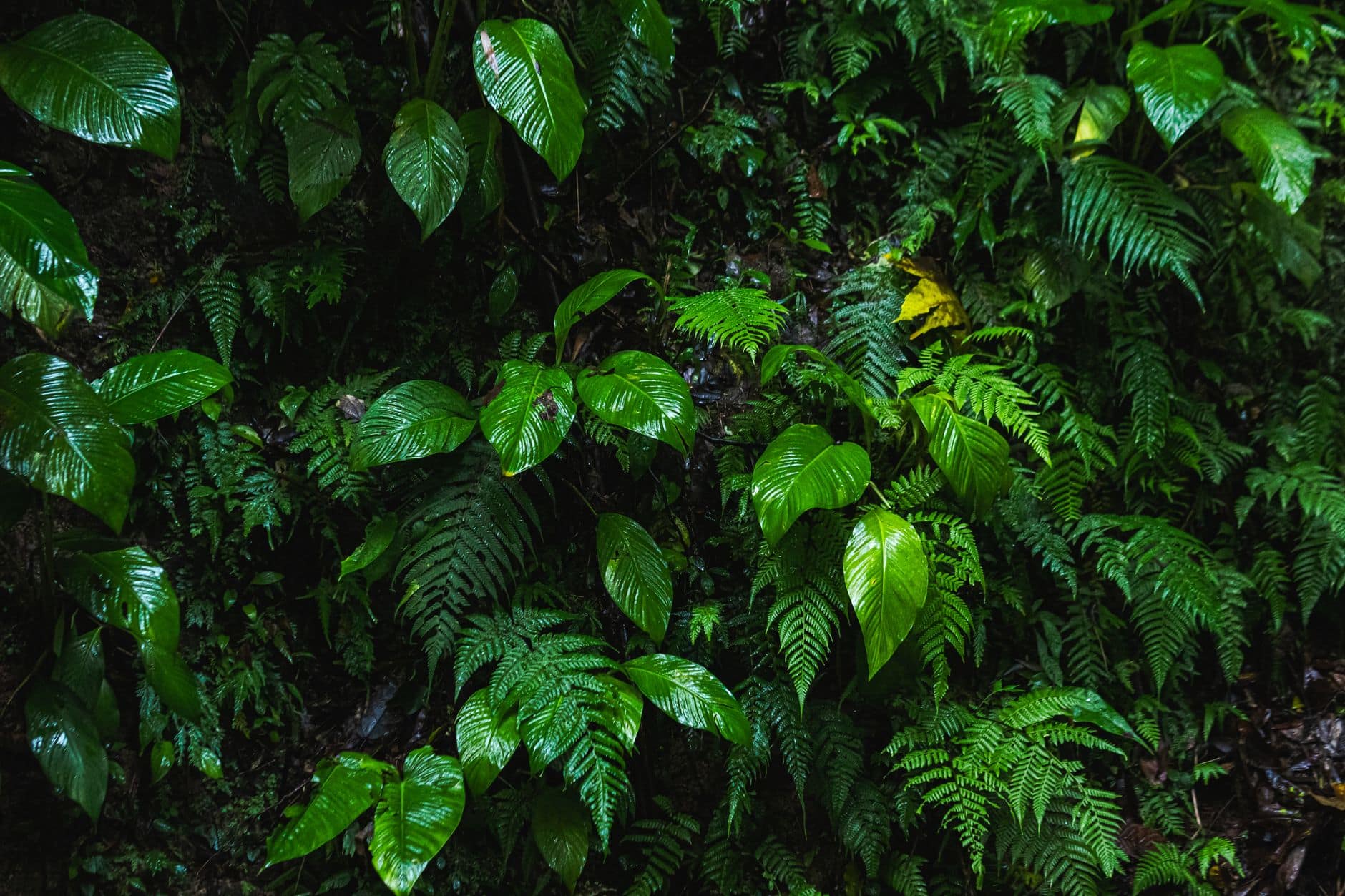 January to March in Bali