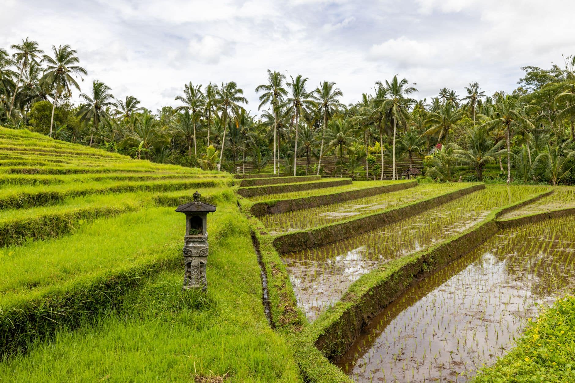 April to June in Bali