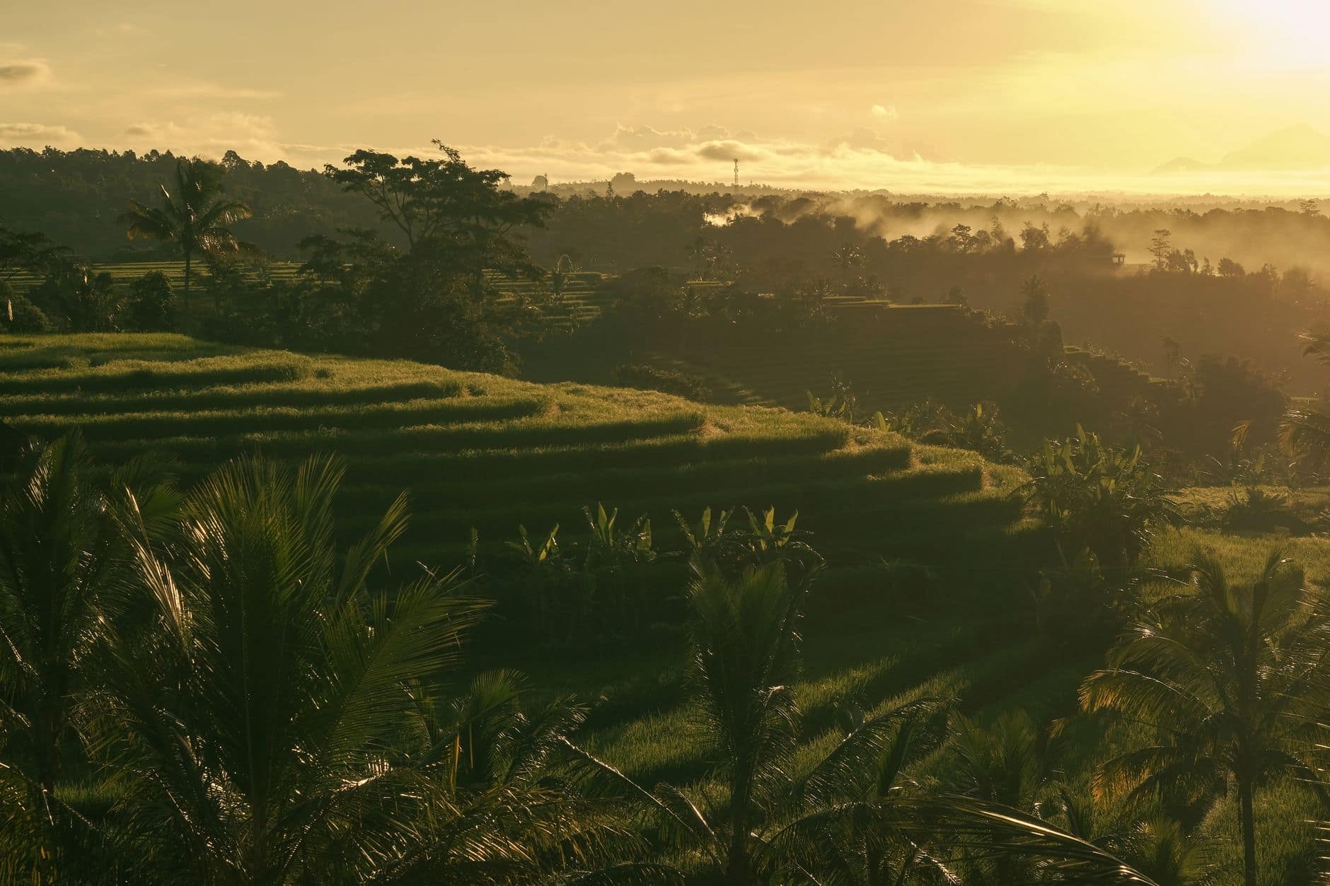 Campuhan Ridge Walk in Bali