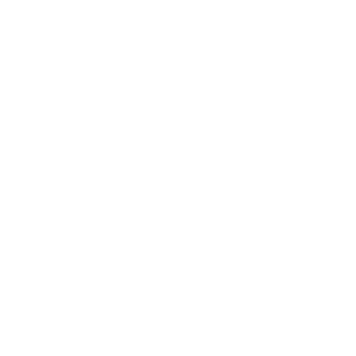 Choose language